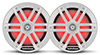 Rockford Fosgate M1-8